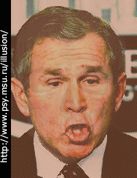 bush.gif (37873 bytes)