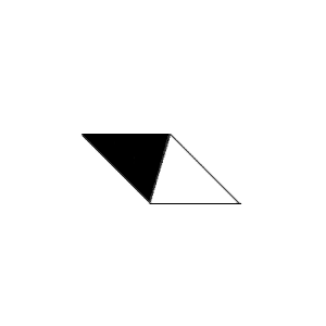 rakov.gif (1149 bytes)