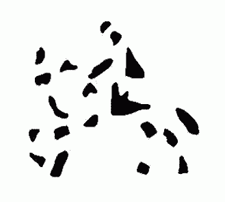 rider.gif (2236 bytes)