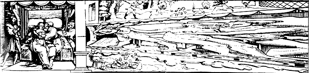 schon_distortion.gif (28638 bytes)