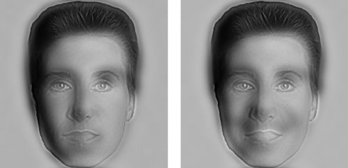 similar.jpg (12523 bytes)