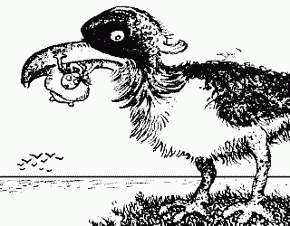 vorona1.gif (8145 bytes)