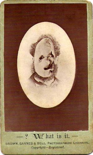 whatisit.jpg (29501 bytes)