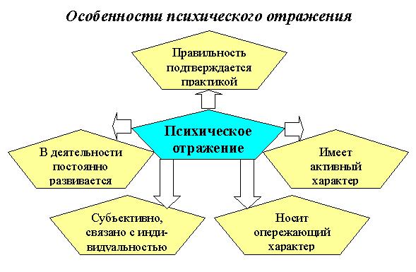            tovarischolga  LiveJournal